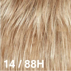 Michigan II Wig By Dream USA | Double Mono Top -Wig Promotion Sale 14 88H