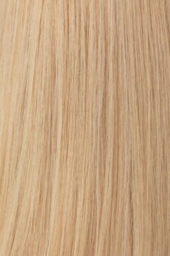 Princessa Wig By Raquel Welch -Wig Promotion Sale BL9 Light Golden Blonde dd25fdb8 0bd1 47a2 af1e db36a7fa5f0a