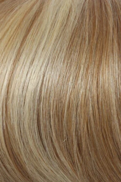 Grand Entrance Wig By Raquel Welch 41 Grand Entrance Wig By Raquel Welch -Wig Promotion Sale R1488 Golden Wheat c9a78e8d 6a81 44e8 aafb ecdc8ac1d4c2