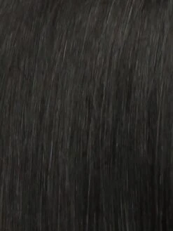 Star Quality Wig By Raquel Welch -Wig Promotion Sale R2 EBONY Black dece4d63 fe25 4380 85f6 1db9340903fb