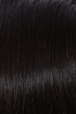 Grand Entrance Wig By Raquel Welch 31 Grand Entrance Wig By Raquel Welch -Wig Promotion Sale R3HH Dark Brown 78dc6494 7d14 4da3 ae2f c9f53e9187f5