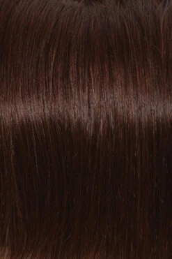Headliner Wig By Raquel Welch -Wig Promotion Sale R4HH Chestnut Brown 8a3117a2 c8a0 4a75 ab61 39f0ab2ea1f7