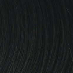 Stop Traffic Wig By Raquel Welch -Wig Promotion Sale R4 MIDNIGHT BROWN 600764d1 e08d 4e4d 874b 275a26716aa4