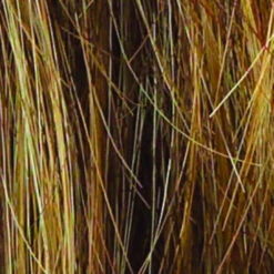 Salsa Wig By Raquel Welch | Large Cap -Wig Promotion Sale R9F26 MOCHA FOIL 271f6265 1c1b 42bf 8c7f a51f6d268b63