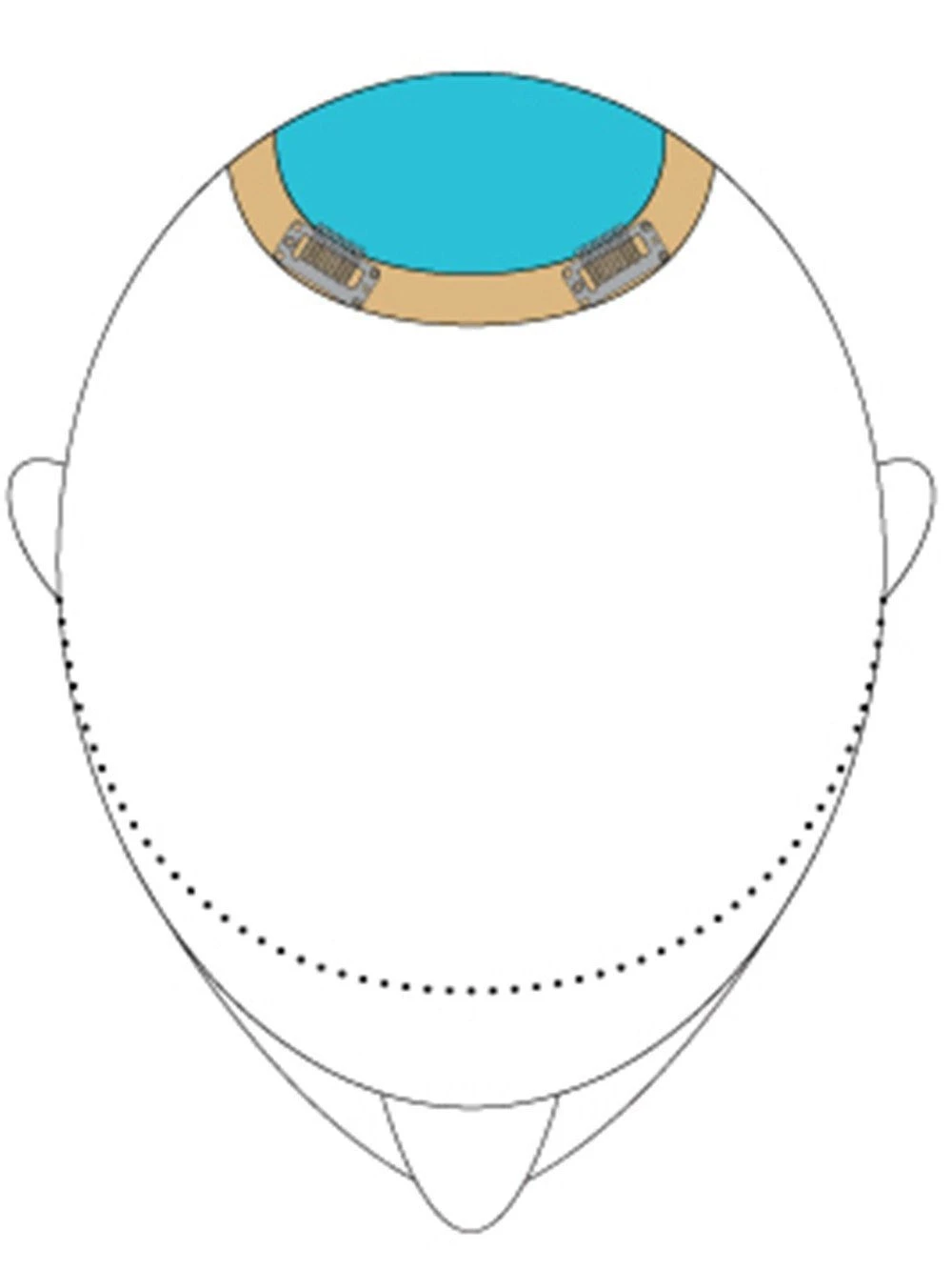 Top This 12" By Jon Renau | Remy Human Hair | Renau Exclusive 7 Top This 12" By Jon Renau | Remy Human Hair | Renau Exclusive - Image 5