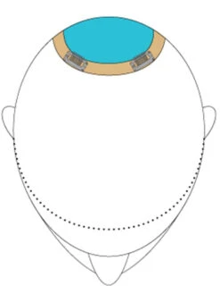 Top This 16" By Jon Renau | Remy Human Hair | Renau Exclusive -Wig Promotion Sale TopThis placement ed0f5b84 2a49 4e5a 8861 fd9066b87af5