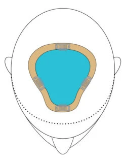 EasiPart XL 8" | Remy Human Hair | Renau Exclusive 21 EasiPart XL 8" | Remy Human Hair | Renau Exclusive -Wig Promotion Sale easiPartXL placement color 9276ed3f a7b8 47d4 941f 02288e24bbff